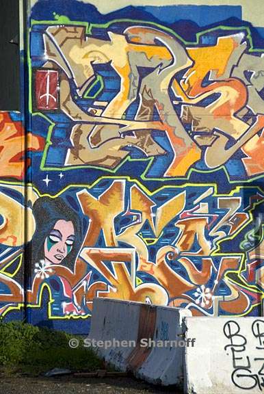 graffiti berkeley graphic 4